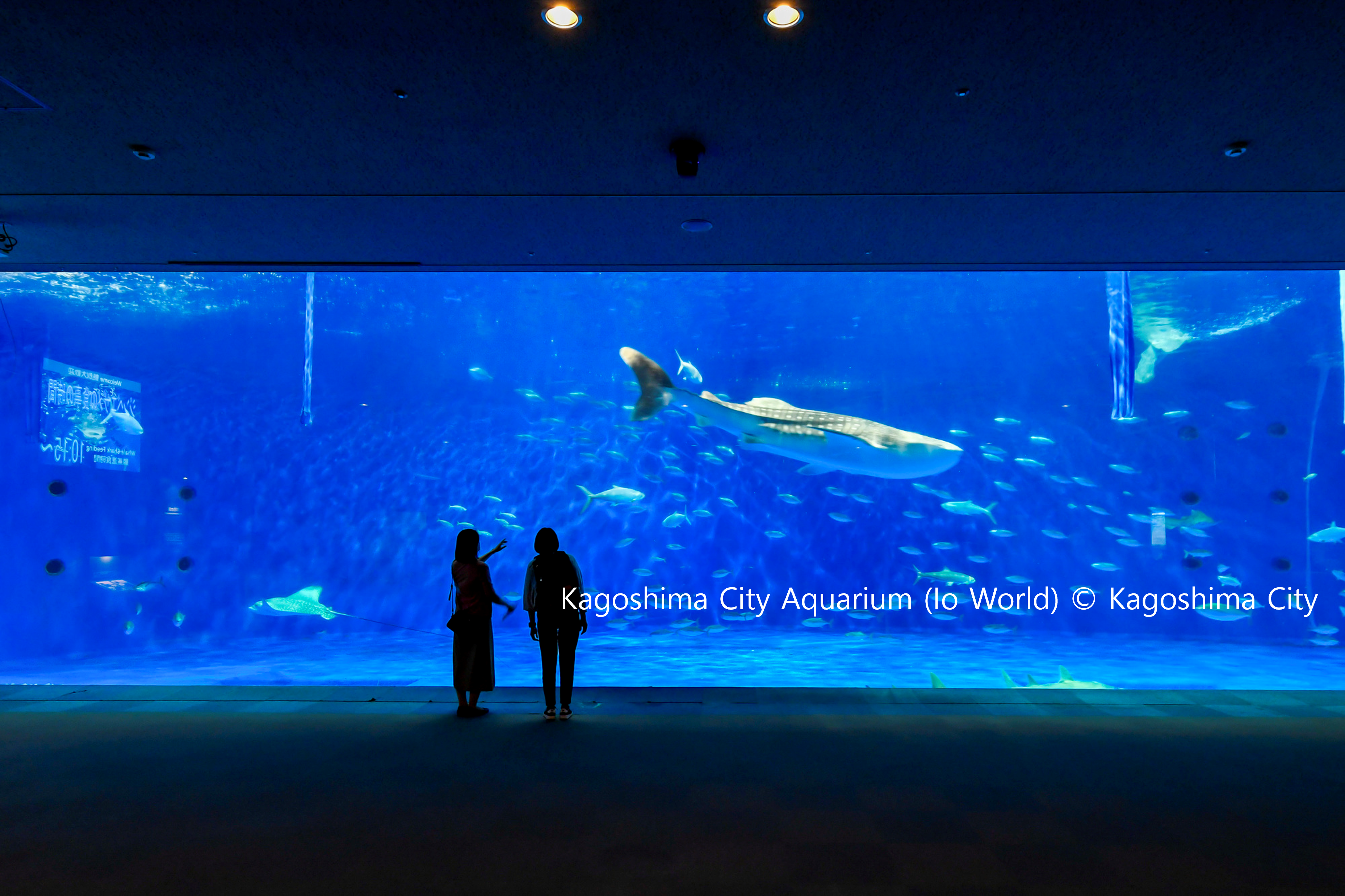 Kagoshima City Aquarium
